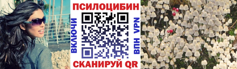 Псилоцибиновые грибы Cubensis Новоалтайск