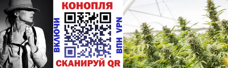 Марихуана индика  купить наркоту  Новоалтайск 